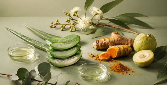 Our Key Ingredients: Natural Actives & Australian Botanicals