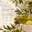 Extra virgin olive oil hero ingredient for traditional liquid Castile soap