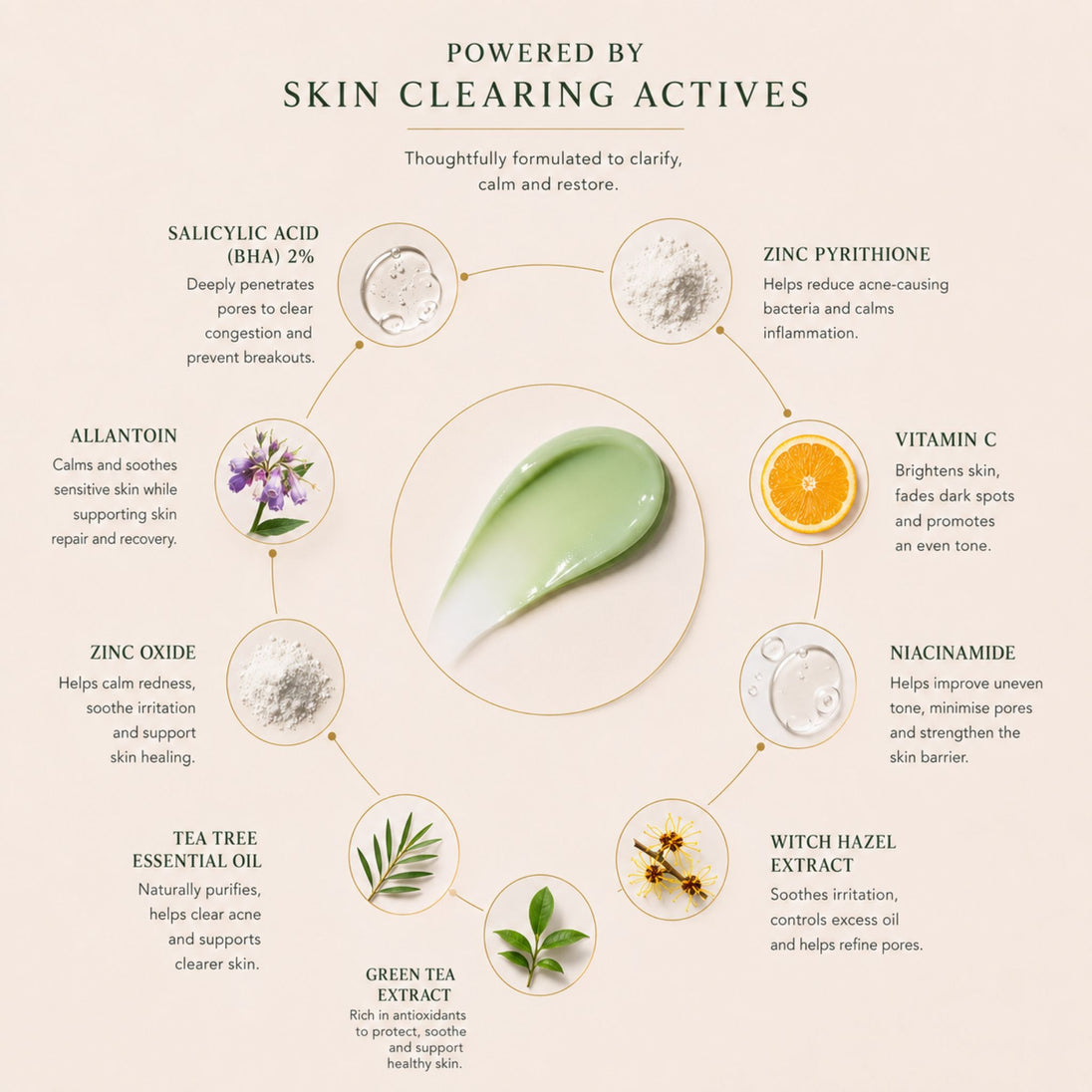 Bubble Clinic 2% Zinc Pyrithione BHA Cleanser hero ingredients infographic featuring salicylic acid, zinc pyrithione, niacinamide, vitamin C, zinc oxide, allantoin, witch hazel, green tea and tea tree around the cleanser’s signature sage green texture for clearer-looking skin.