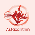 Red astaxanthin molecule with a circular red border and placeholder text 'Lorem ipsum'.