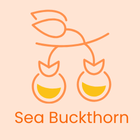 Icon of sea buckthorn berries with a branch on an orange background, labeled 'Sea Buckthorn'.
