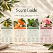 Liquid Castile soap scent guide with fragrance free, tangerine citrus, peppermint eucalyptus and floral essential oil variants