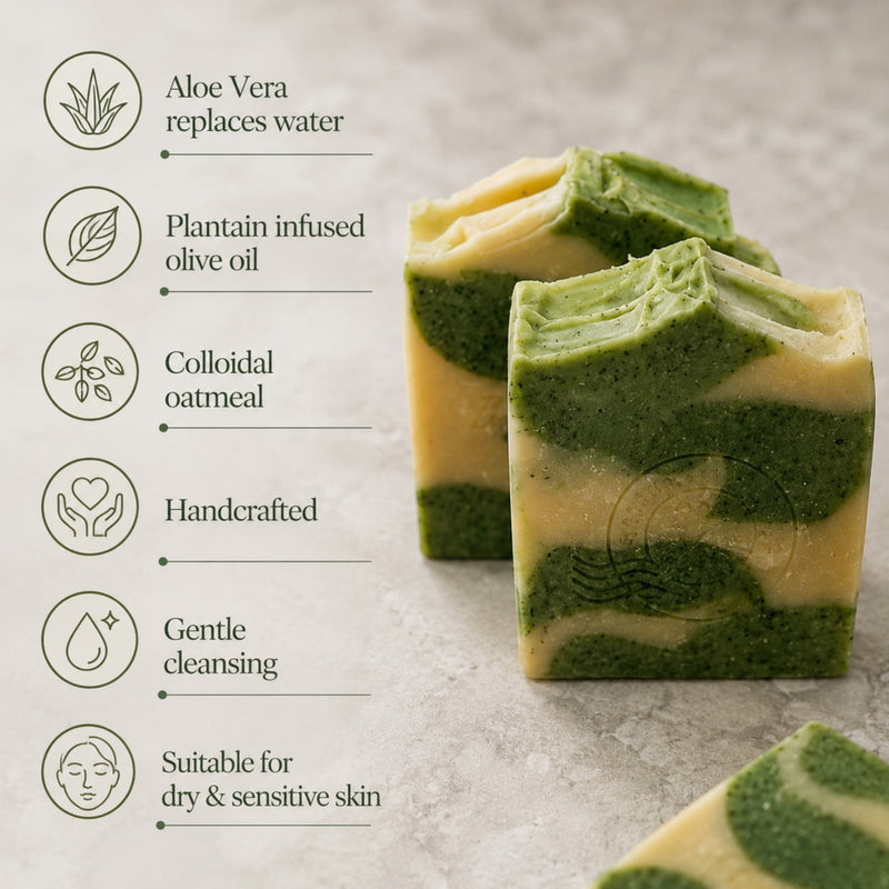 Aloe vera, plantain-infused olive oil and colloidal oatmeal soap features