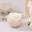 Rose candle - Bubble Clinic