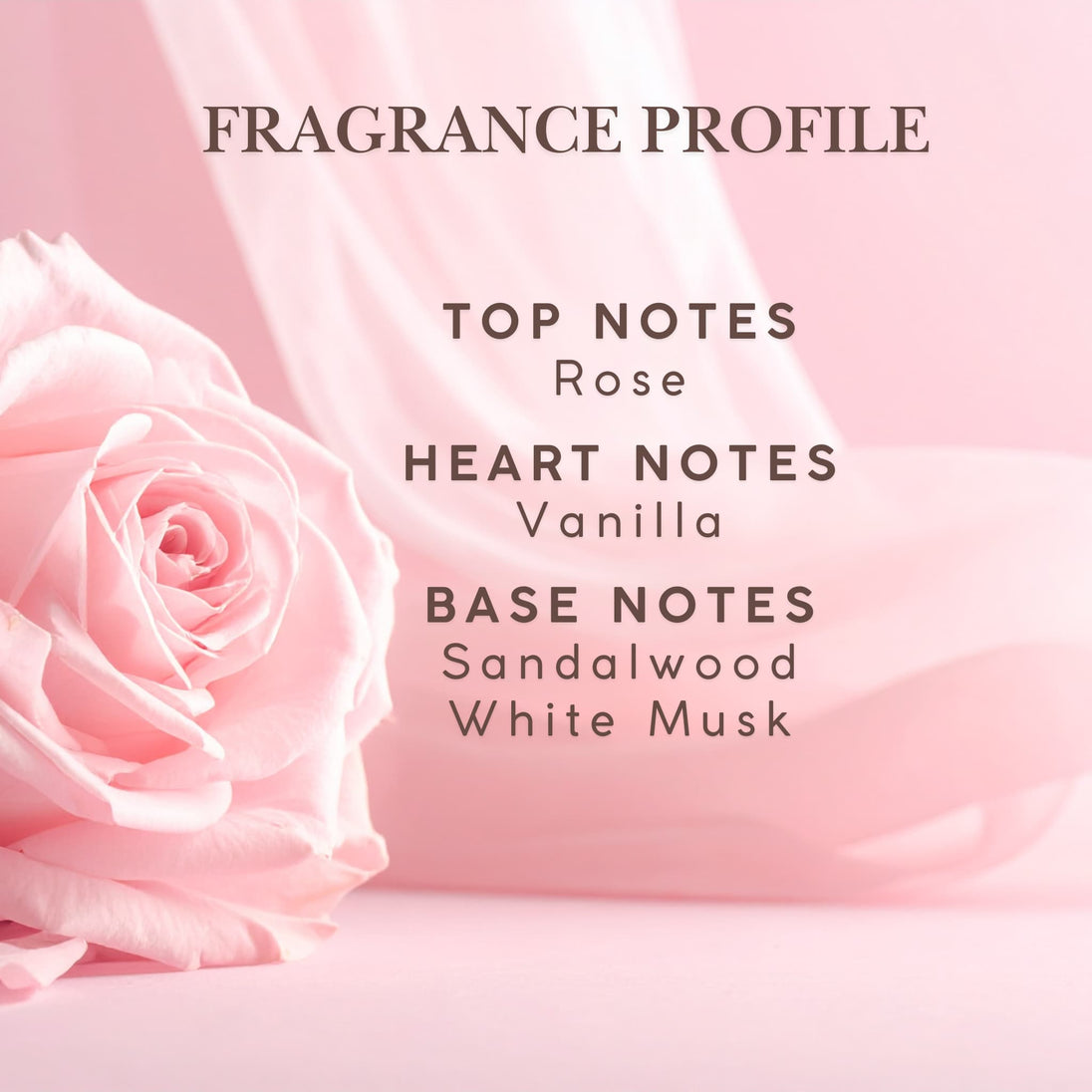 Fragrance profile of rose silk beautiful rose hair perfume with rose, vanilla, sandalwood and white musk with a pink rose on a light pink background